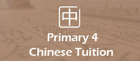 Chinese Tuition for primary 4