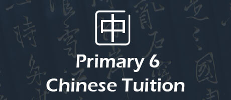 Chinese Tuition for primary 6