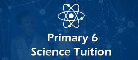 Science Tuition for primary 6