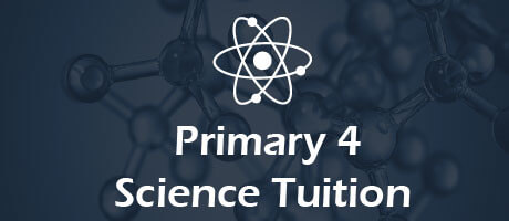 Science Tuition for primary 4