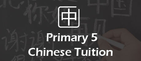 Chinese Tuition for primary 5