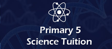 Science Tuition for primary 5 5